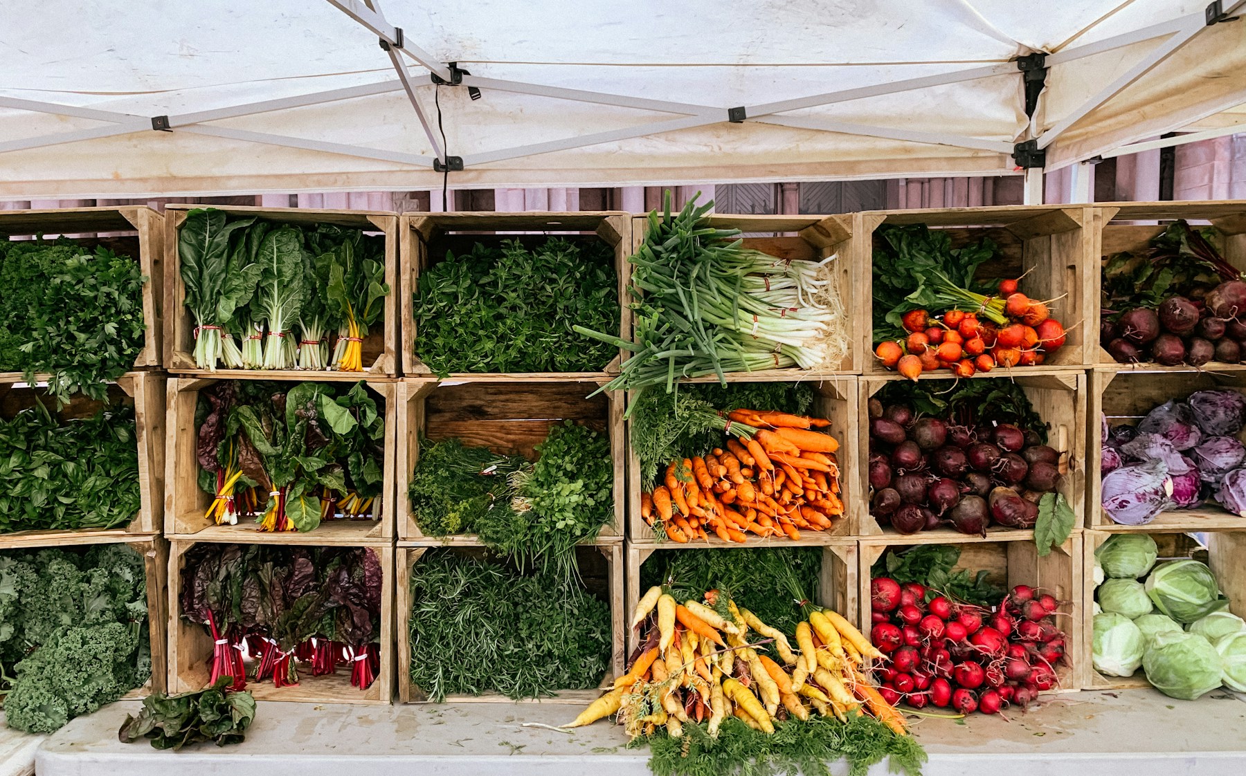 Diversidad de hortalizas en un mercado agrícola
